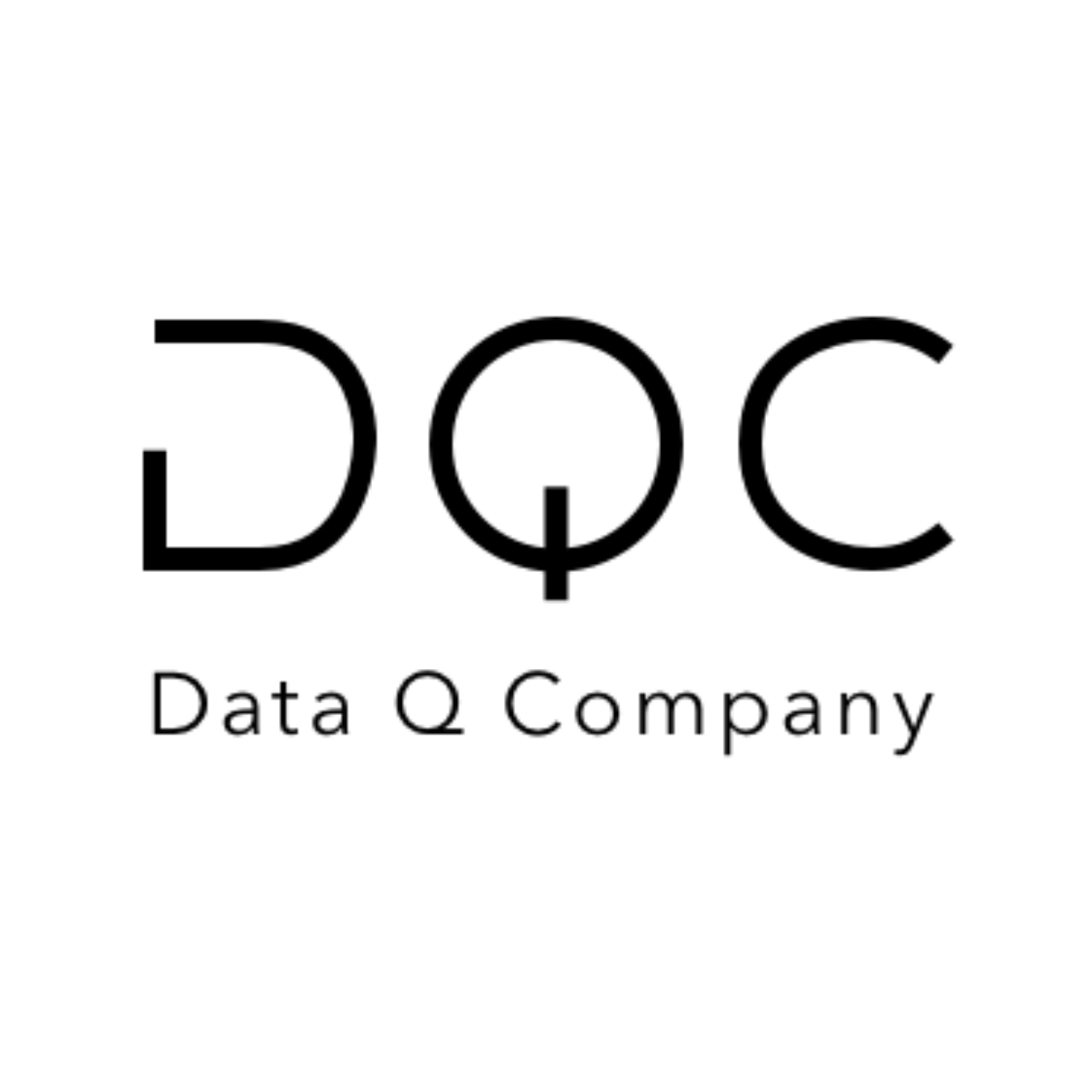 Data Quality Assistant